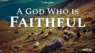 A God Who Is Faithful Hebrews 10:10-23 New Living Translation