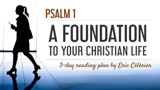 Psalm 1 - A Foundation To Your Christian Life Psalms 1:2-3 The Message