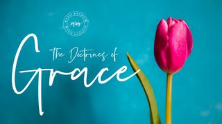 The Doctrines Of Grace John 10:25-30 The Message
