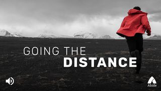 Going The Distance 1 Timothy 6:12 New Living Translation