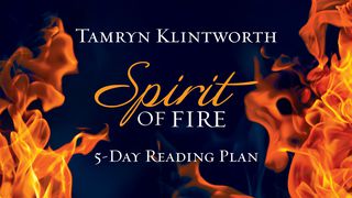 Spirit Of Fire By Tamryn Klintworth John 14:16-17 New International Version (Anglicised)