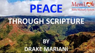 Peace Through Scripture Numbers 6:25-26 English Standard Version 2016