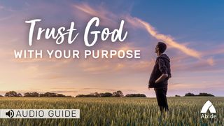 Trust God With Your Purpose Romans 8:26-28 The Message