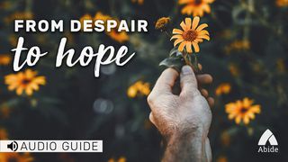 Despair To Hope Romans 5:5 New International Version (Anglicised)