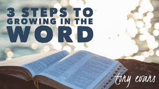 3 Steps To Growing In The Word Psalms 119:17-24 The Message