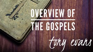 Overview Of The Gospels John 1:3-5 The Message