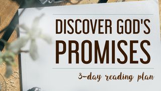Discover God's Promises! Hebrews 11:11-19 New American Standard Bible - NASB 1995