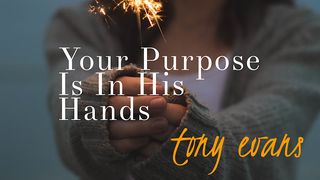 Your Purpose Is In His Hands 1 Corinthians 2:6-10 The Message