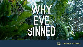 Why Eve Sinned - Genesis 3 Romans 5:6-11 The Message