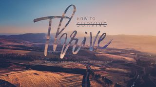 How To Thrive Mark 2:26 Amplified Bible
