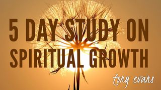 5 Day Study On Spiritual Growth Ephesians 4:14-16 The Message