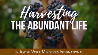 Harvesting The Abundant Life Galatians 6:8 New Living Translation
