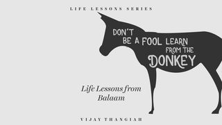 Don’t Be A Fool, Learn From The Donkey - Life Lessons From Balaam Numbers 22:27 English Standard Version 2016