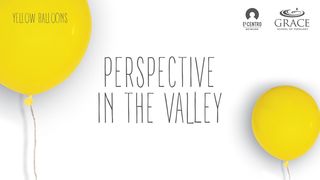 Perspective In The Valley  Job 1:20-22 New Century Version