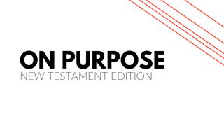 The New Testament On Purpose Ephesians 3:11 New International Version