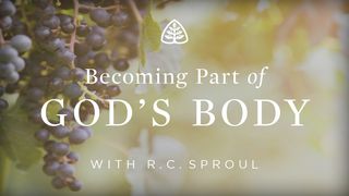 Becoming Part of God's Body Luke 12:51 New Living Translation