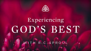 Experiencing God's Best Psalms 30:1 The Passion Translation