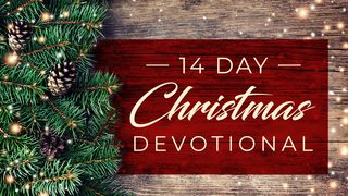 14 Days Christmas Devotional Matthew 3:1 New International Version