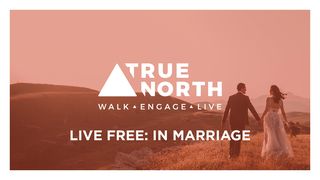 True North: LIVE Free In Marriage Matthew 19:8 New Century Version