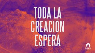Toda la creación espera Juan 11:4 Nueva Versión Internacional - Español