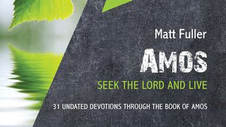 Amos: Seek The Lord and Live Amos 8:11 New Century Version