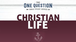 One Question Bible Study: Christian Life Luke 12:22 New International Version