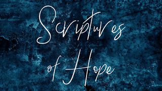Scriptures Of Hope Romans 5:3-5 The Message