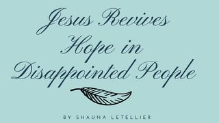 Jesus Revives Hope In Disappointed People Hebrews 6:20 American Standard Version