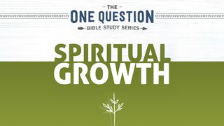 One Question Bible Study: Spiritual Growth Matthew 5:14-16 The Message