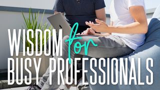 Wisdom for Busy Professionals James 1:13-15 The Message