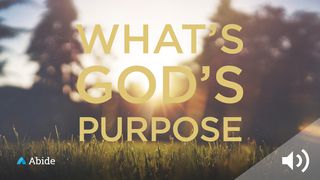 What Is God’s Purpose For My Life? Isaiah 43:7 Amplified Bible