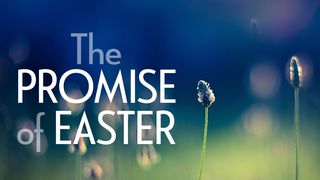 Our Daily Bread: The Promise of Easter Romans 3:27-28 The Message