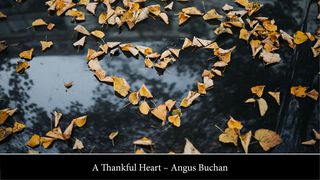 A Thankful Heart 1 Chronicles 16:8 King James Version