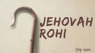 Jehovah Rohi Psalms 23:4 The Message