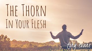 The Thorn In Your Flesh Philippians 2:5-11 The Message