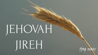 Jehovah-Jireh Genesis 22:8 Amplified Bible