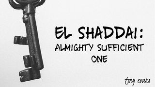 El Shaddai: Almighty Sufficient One Isaiah 49:16 New American Standard Bible - NASB 1995