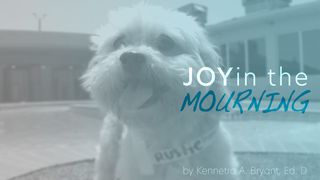 Joy In The Mourning  Psalms 50:7-15 The Message