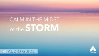 Calm In The Midst Of The Storm Psalms 37:3-5 New International Version