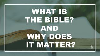 What Is The Bible, And Why Does It Matter? John 5:39-40 New American Standard Bible - NASB 1995