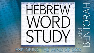 Exploring The Mind of God (Hebrew Word Study) Psalms 95:3-5 The Message