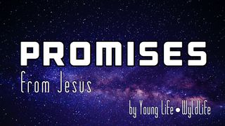 Promises From Jesus John 10:6-10 The Message