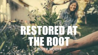 Restored at the Root John 8:34-38 The Message