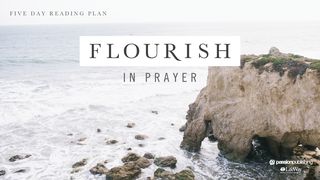 Flourish In Prayer Colossians 4:2-4 The Message