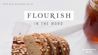 Flourish In The Word Proverbs 2:7-10 New King James Version