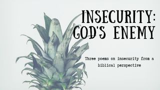Insecurity: God's Enemy Genesis 1:11-13 The Message