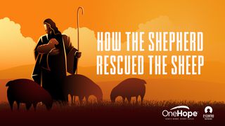 How The Shepherd Rescued The Sheep Lukáš 24:2-3 Bible 21