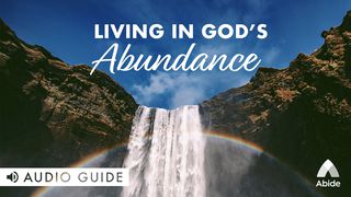 Living In God's Abundance John 3:30 King James Version
