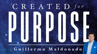 Created For Purpose 2 Corinthians 1:20-22 The Message