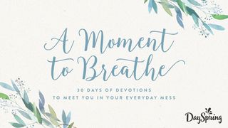 A Moment To Breathe: Find Rest In The Mess Job 31:32 American Standard Version